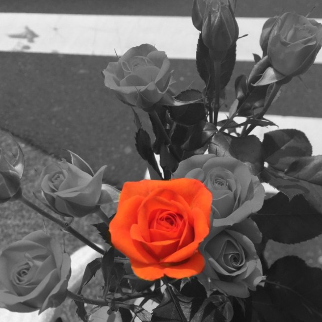 FullSizeRender 95.jpg