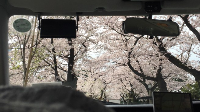 FullSizeRender 208.jpg