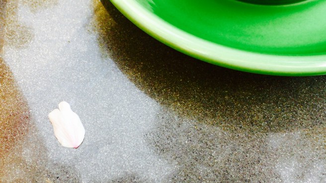 FullSizeRender 212.jpg