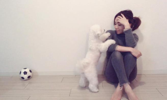 26678158_1578081702268088_4871009532351461869_o