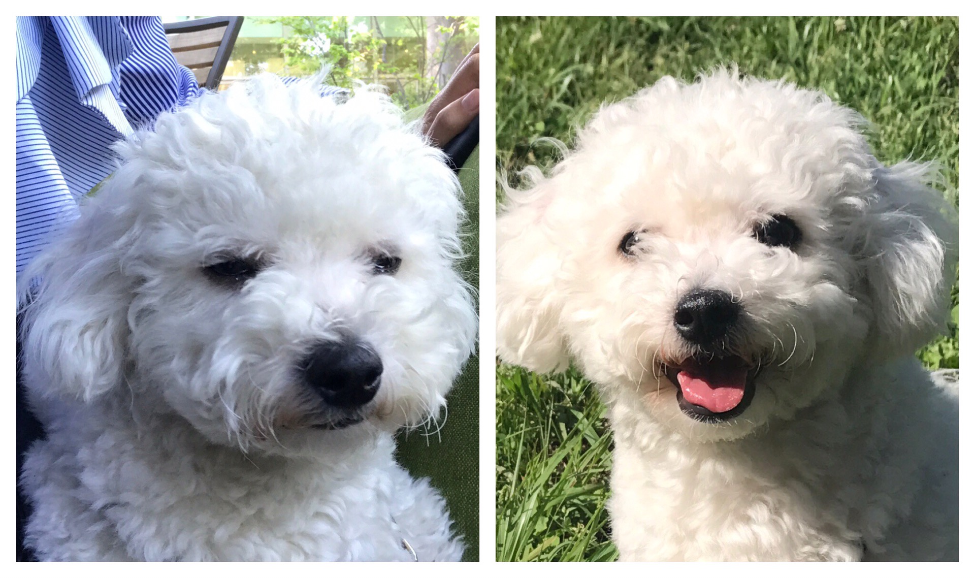 Processed with MOLDIV