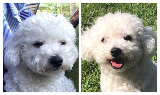 Processed with MOLDIV