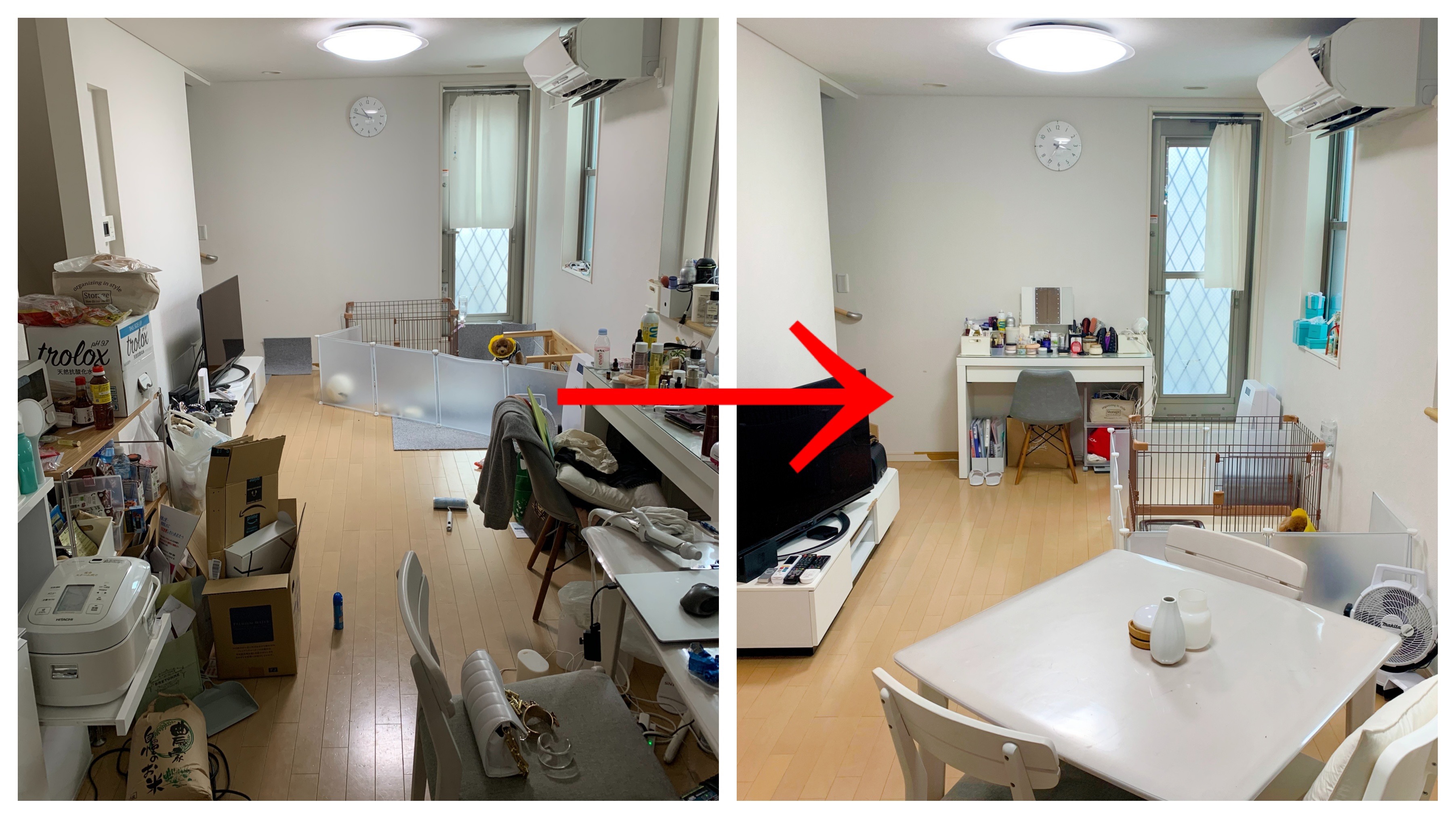 Processed with MOLDIV