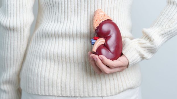 xr:d:DAGBdYZOkjg:5,j:7185917025146583651,t:24040414